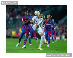 总结：新世纪的棒球从数据革命走向全球偶像时代，记录着人类体能与智慧的极限。