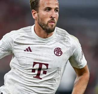 拜仁就展现 拜仁就展现